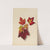 Autumn Leaves (1874) by Mary Vaux Walcott