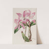 Autumnal Laelia by Sydenham Edwards