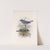 Aves Pl 26 by Frederick DuCane Godman