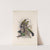 Aves Pl 56 by Frederick DuCane Godman