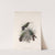 Aves Pl 57 by Frederick DuCane Godman