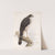 Aves Pl 69 by Frederick DuCane Godman