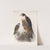 Aves Pl 71 by Frederick DuCane Godman