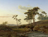 Avondstemming met herder