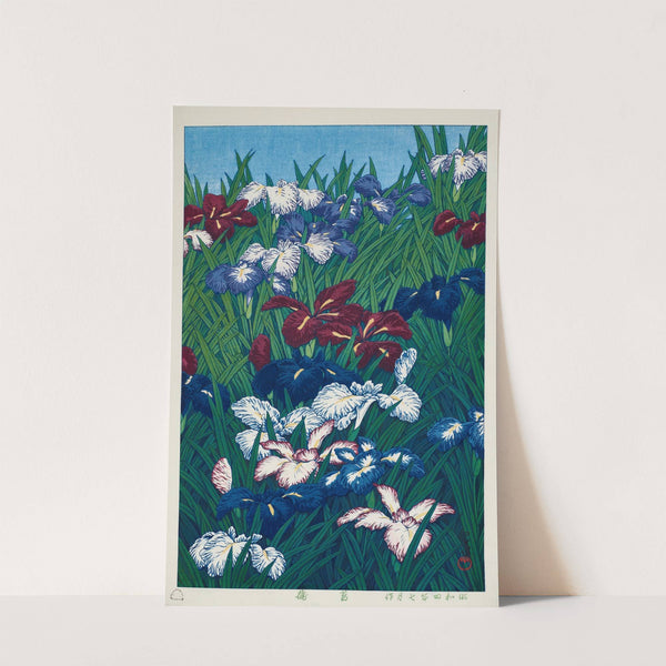 Ayame (Iris) (1929) by Kawase Hasui
