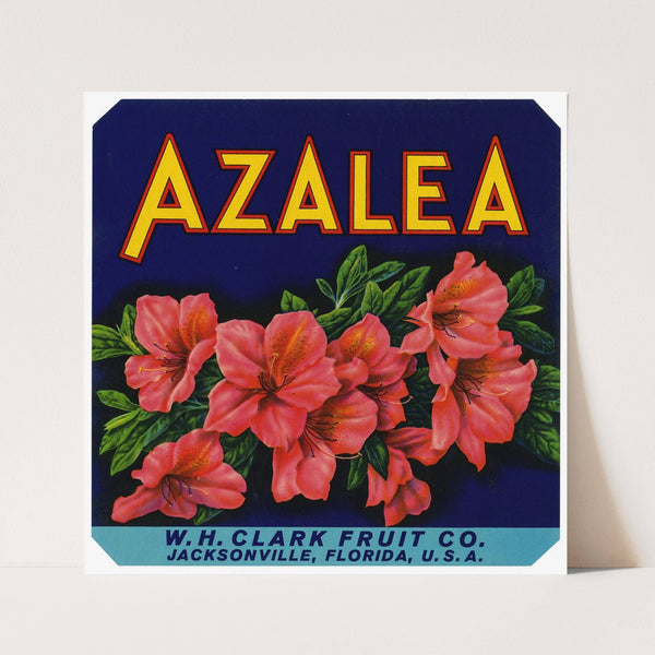 Azalea Fruit Label (1940)