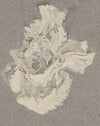 Azaleabloem