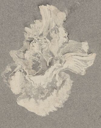 Azaleabloem