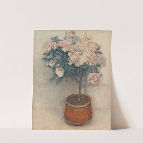 Azaleas by Louise Laridon
