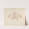 Baby Jacket by Lucien Verbeke