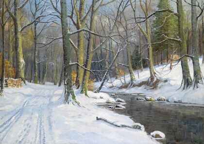 Bachlandschaft im Winter