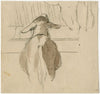 Back of a sheep near his rack
