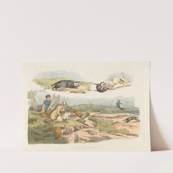 Badger hunting; dogs chasing and attacking badgers (1817-1818) by Henry Thomas Alken