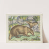 Badger (1829-1880) by Joseph Scholz