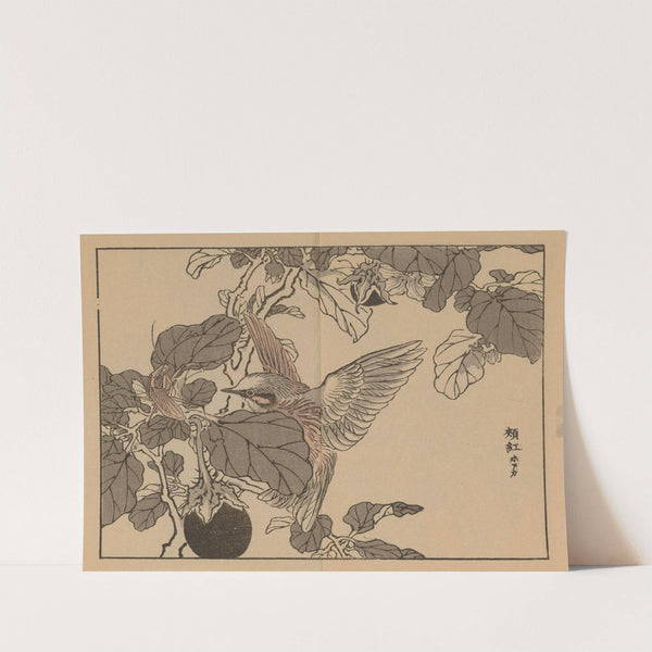 Bairei gafu, Pl.38 by Kōno Bairei