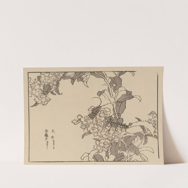 Bairei gafu, Pl.61 by Kōno Bairei