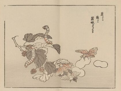 Bairei gafu, Pl.62