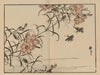 Bairei gafu, Pl.65