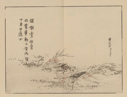 Bairei gafu, Pl.75
