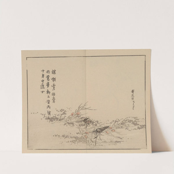 Bairei gafu, Pl.75 by Kōno Bairei
