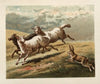 Ballad of the lost hare Pl.07