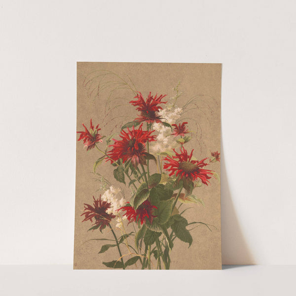 Balm and spirea (1886) by Louis Prang & Co.