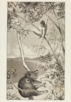 Bär und Elfe (Intermezzi, Opus IV, Blatt 1)