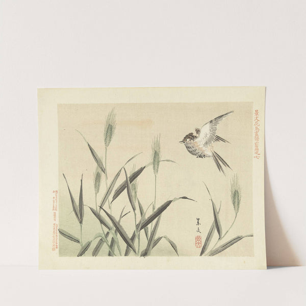 Barley and skylark (1892) by Matsumura Keibun