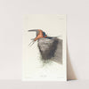 Barn swallow by John James Audubon