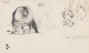 Bartaffe (Ca. 1906)
