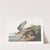 Bartram sandpiper by John James Audubon