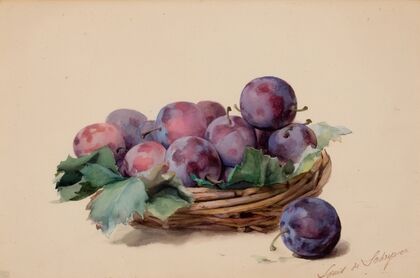 Basket of Plums