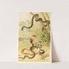 Bat-snake and cobras (1893-1896) by Pierre Jacques Smit