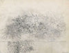 Battle Scene