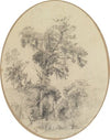 Baum mit herabhängenden Pflanzenfasern