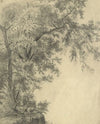 Baumgruppe an einem Steilhang (1870)