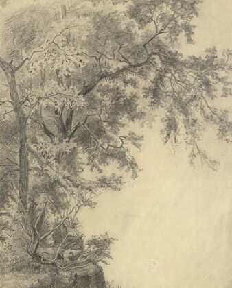 Baumgruppe an einem Steilhang (1870)