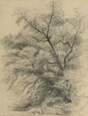 Elegant Pleasures of the Four Seasons