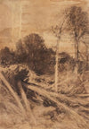 Baumstudie (1911)