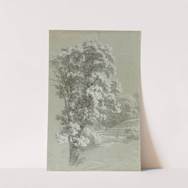 Baumstudie (1796) by Heinrich Rieter