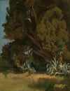 Baumstudie aus der Villa d’Este in Tivoli
