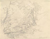 Baumstudie