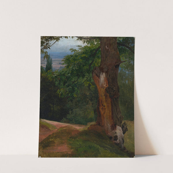 Baumstudie mit Talblick by Johann Wilhelm Schirmer