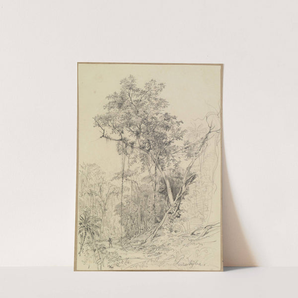 Baumstudie mit Weg (und Staffage) im Urwald by Ferdinand Keller