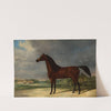 Bay horse by Friedrich Leopold Bürde