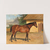 Bay Horse on the Paddock by Wilhelm Richter