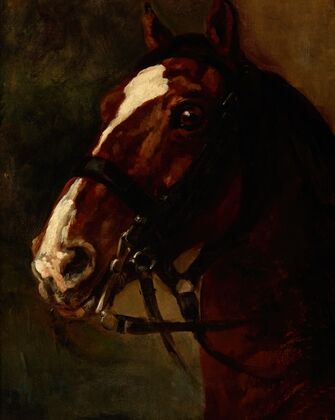 Bay Horse’s Head