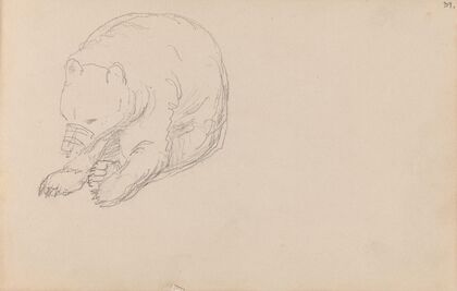 Bear (1850s)