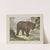 Bear (1829-1880) by Joseph Scholz