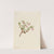 Bearberry (Arctostaphylos uva-ursi) (1916) by Mary Vaux Walcott
